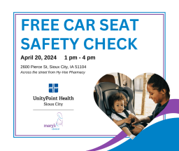 Car Seat Safety Check.png
